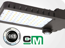 Area Luminaires